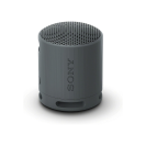 Sony SRS-XB100 wireless portable speaker 